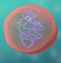 06026ccf-8489-240x250.png