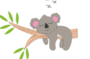 06026cum-7786-131x86.png