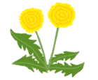 06026cxm-8a15-140x115.png