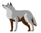 06026cxw-5e6d-135x107.png