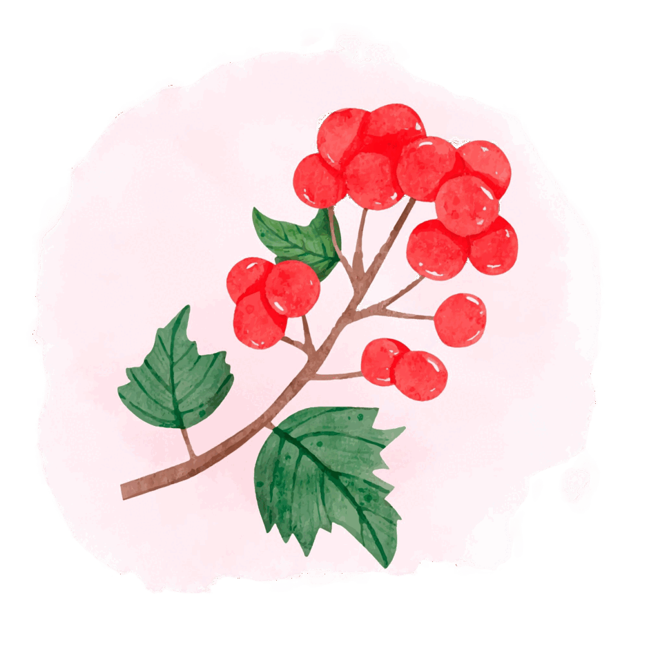 06026cyd-3fd0-940x940.png