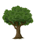 06026d21-d071-131x129.png
