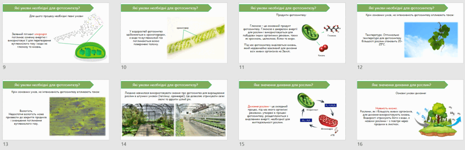 06026eiy-663b-940x303.png