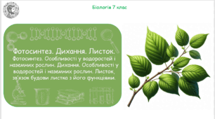 Урок на тему "Фотосинтез. Особливості у водоростей і наземних рослин. Дихання. Особливості у водоростей і наземних рослин. Листок, зв’язок будови листка з його функціями" (Конспект, презентація, робочі аркуші)