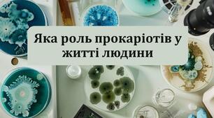 §9 Яка роль прокаріотів у житті людини
