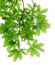 06026feo-30b1-55x65.png