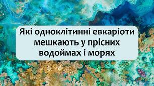 §11 Які одноклітинні евкаріоти мешкають у прісних водоймах і морях