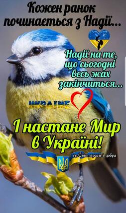 06026h1n-f399-253x429.jpg
