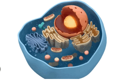 06026j6m-7d01-471x279.png