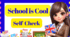 Test. Self-Check "School is Cool! "