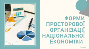Форми просторової організації національної економіки