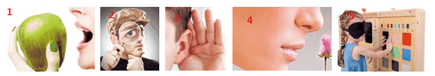 06026l80-2e8b-885x155.png