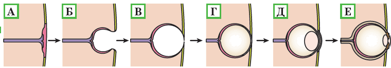 06026l9x-bc4a-760x133.png
