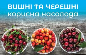 06026nbw-4e8f-300x193.jpg
