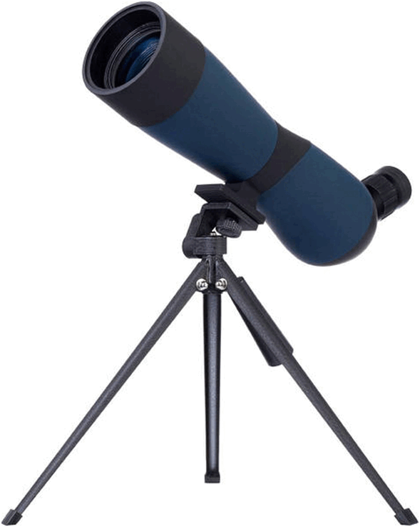 06026ppd-8289-589x738.png