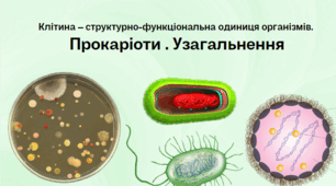 Клітина – структурно-функціональна одиниця організмів. Прокаріоти. Узагальнення. Біологія 7 клас НУШ.  