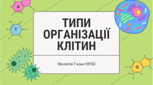 Типи організації клітин. Біологія 7 клас НУШ