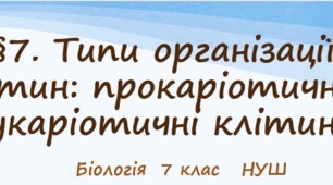 Презентація  до уроку  «Типи організації клітин: прокаріотичні й еукаріотичні клітини»  7клас НУШ