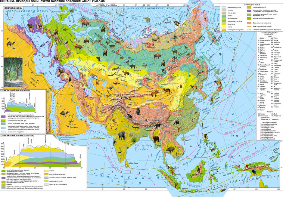06026vhh-895a-940x655.jpg