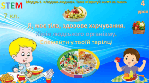 Я, моє тіло, здорове харчування. Хімія людського організму. Елементи у твоїй тарілці