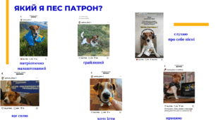 Твір-опис тварини