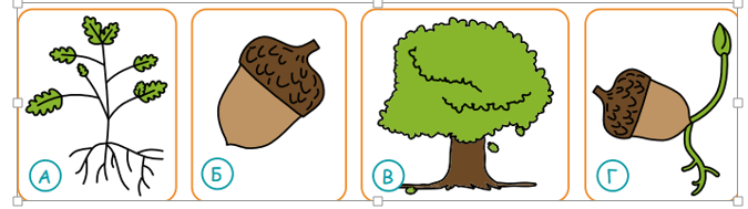 06026ygs-5148-675x189.png