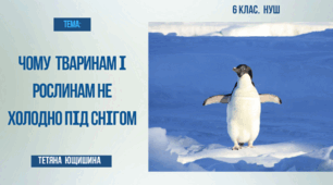 Чому тваринам і рослинам не холодно під снігом. 6 клас.НУШ