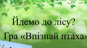 Презентація "Гра "Впізнай птаха""