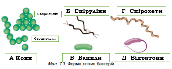 06026zs4-0265-550x223.png