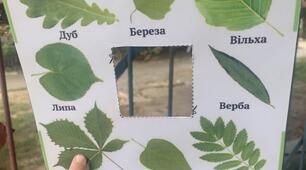 «Подорож до країни Знань»