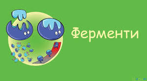 Робочий аркуш з теми "Ферменти"