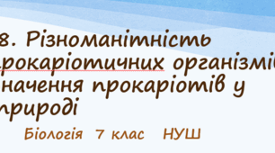 Презентація   «Різноманітність прокаріотичних організмів. Значення прокаріотів у природі»  7клас НУШ