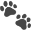 🐾