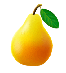 060278fr-767b-213x234.png