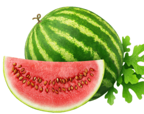 060278fw-a452-287x228.png