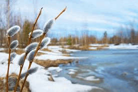 060278np-d52a-275x183.png