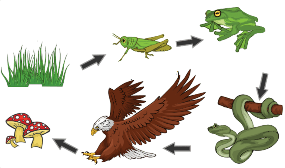 06027a85-fc19-940x554.png