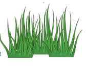 06027aap-43a5-168x129.png
