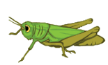 06027aau-f80b-155x94.png