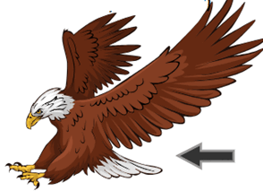 06027abb-cf3b-294x213.png