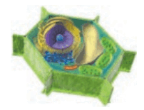 06027ah5-0f62-202x155.png