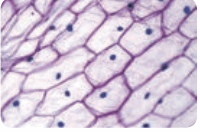 06027ahg-9e44-200x132.png