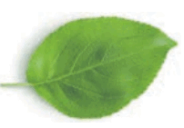 06027ahq-3259-202x141.png