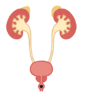 06027bdd-3324-122x131.png