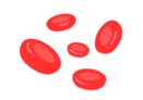 06027bi9-d924-131x92.png
