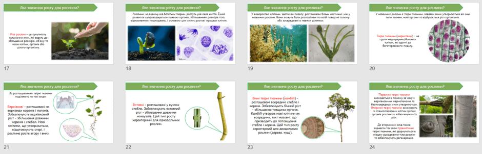 06027csp-7cd6-940x302.png