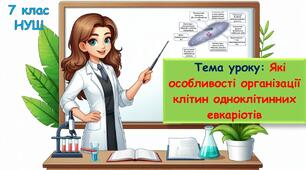 Презентація з біології для учнів 7 класу НУШ. Тема уроку: Які особливості організації клітин одноклітинних евкаріотів.