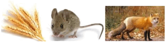 06027dmv-b68b-560x144.png