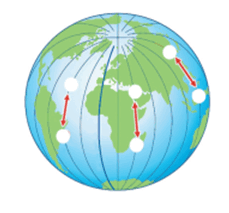 06027dpz-e2f3-229x213.png