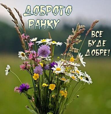 06027fap-47d0-385x397.jpg